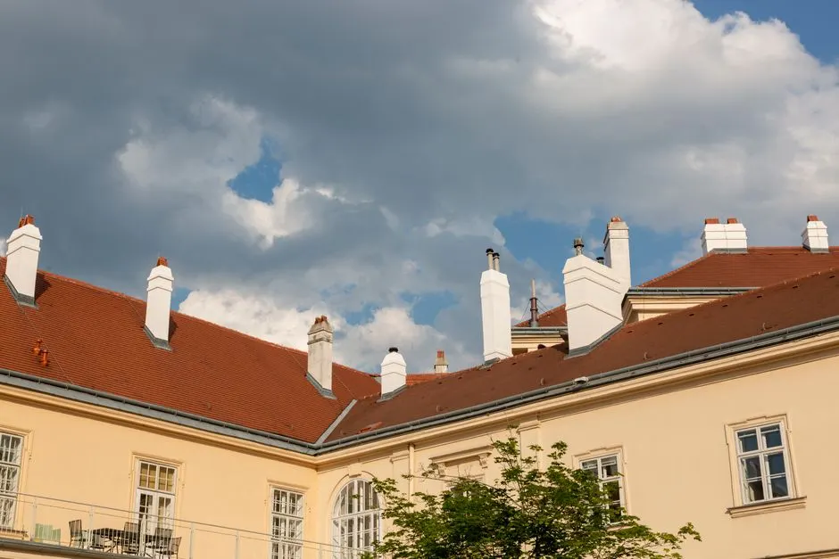 Chimney Leak Repair by Hardy Zap