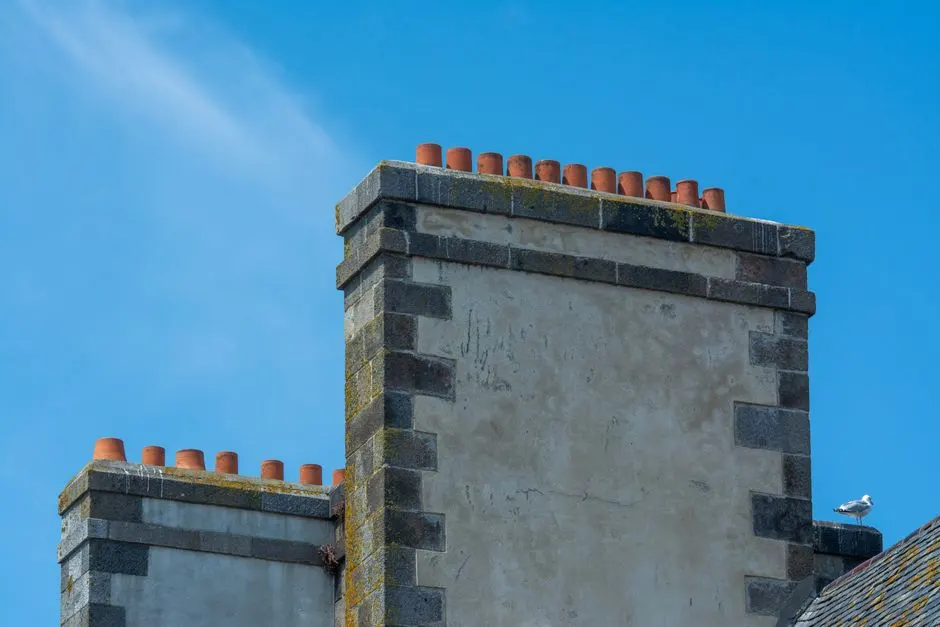 Experienced Chimney repair professionals at work